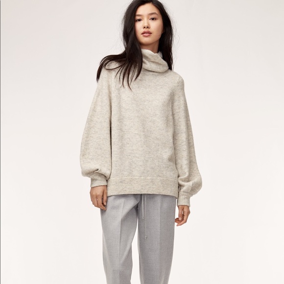 Aritzia Sweaters - Aritzia Babaton Adichie Sweater